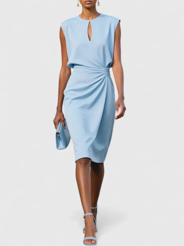 Sophisticated Elegant Dress