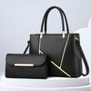 Structured Two-Piece Handbag Set With Gold Hardware