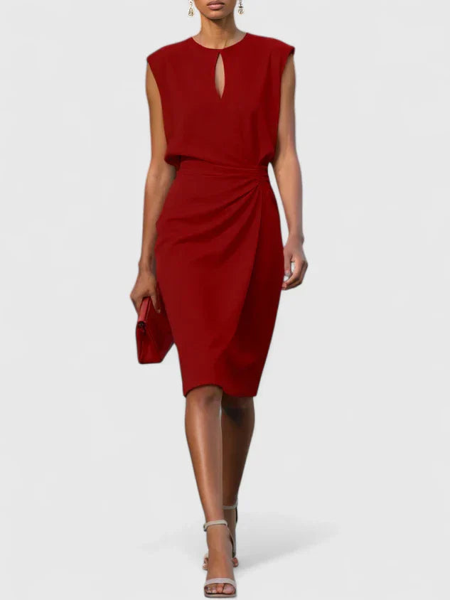 Sophisticated Elegant Dress